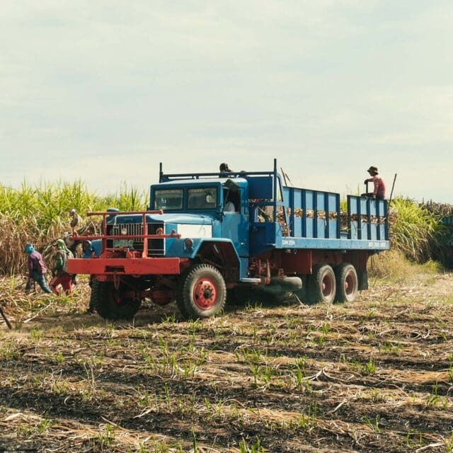 luisita rum